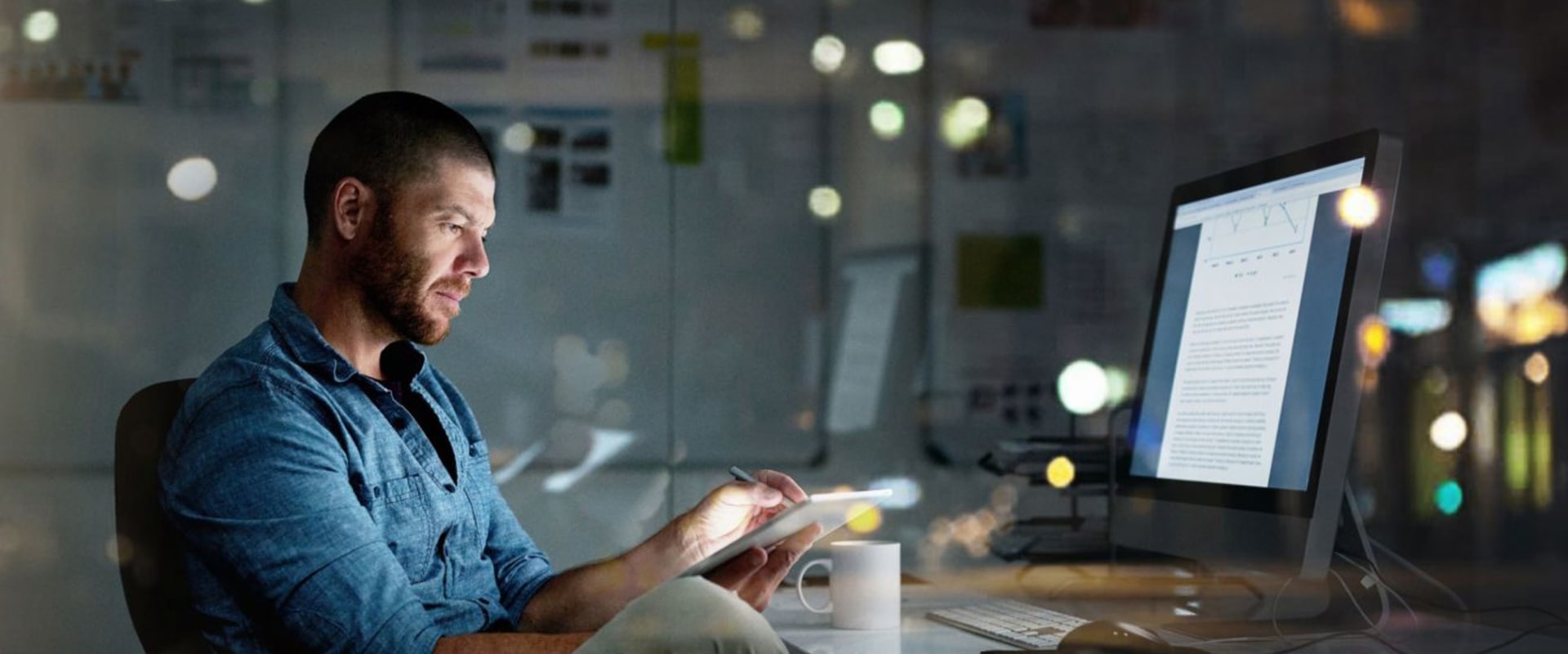 What is the most common application software?