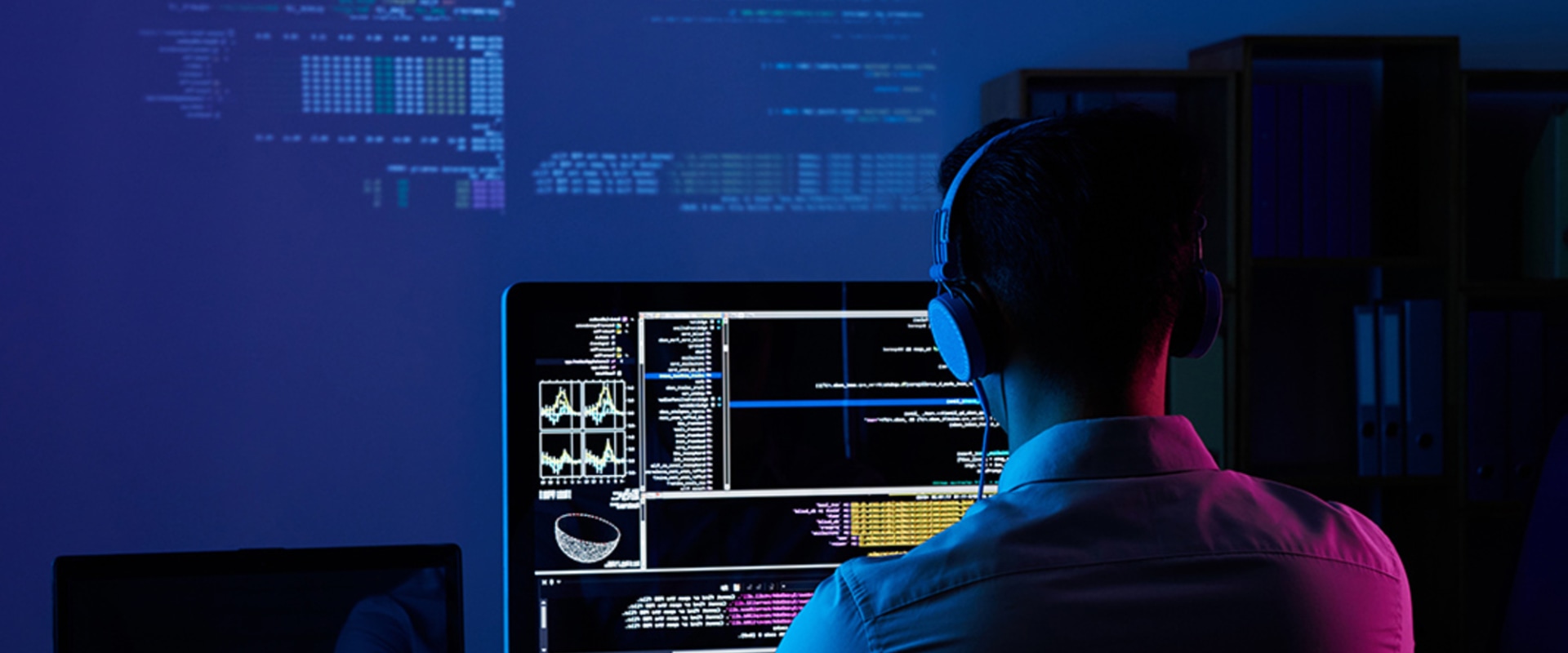 What is the most common type of software?